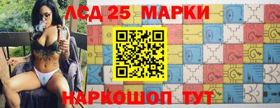 шишки Заволжье