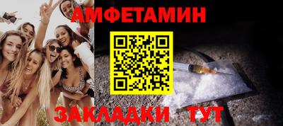 шишки Заволжье