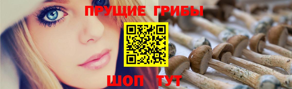 Лесной  Псилоцибиновые грибы MAGIC MUSHROOMS  Вход с VPN 